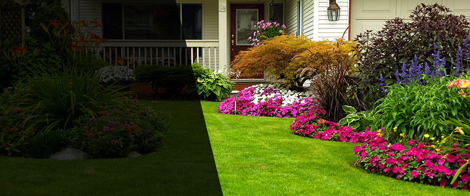 Jamison Landscapers