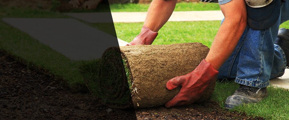 Jamison Landscapers